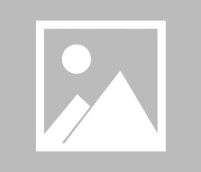 开云平台-体育风云录，从国王冲刺、尤文欧冠到猛龙突变，备战与应变的关键时刻，风云激荡，从国王冲刺、尤文决战到猛龙突变——备战与应变的赛场博弈